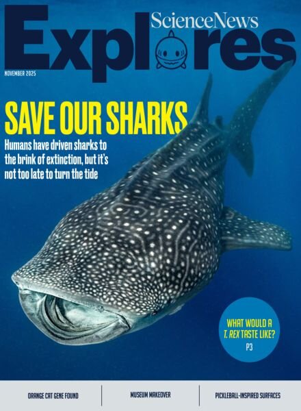 Science News Explores – November 2025 Cover
