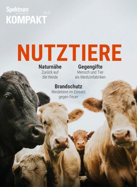 Spektrum Kompakt – 29 September 2025 Cover