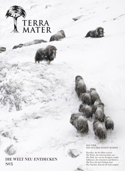 Terra Mater – 16 Oktober 2025 Cover