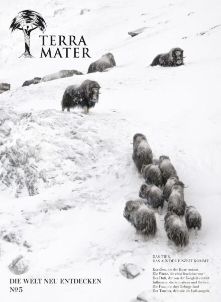 Terra Mater – Herbst 2025 Cover