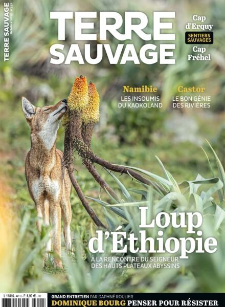 Terre Sauvage – Octobre 2025 Cover