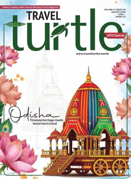 Travel Turtle – August 2025 Cover