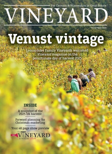 Vineyard – November 2025 Cover
