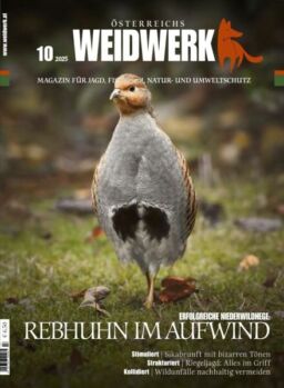Weidwerk – Oktober 2025