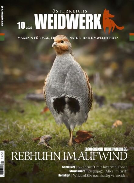 Weidwerk – Oktober 2025 Cover