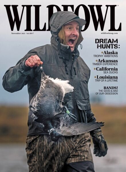 Wildfowl – November 2025 Cover