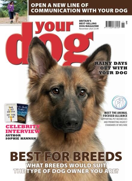 Your Dog – November 2025 Cover