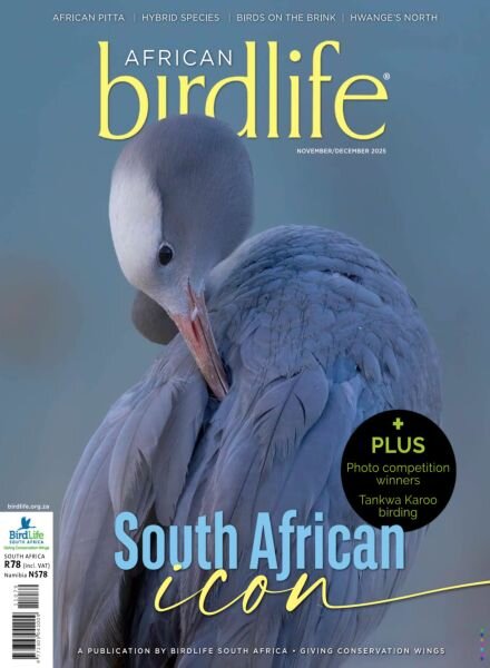 African Birdlife – November-December 2025 Cover