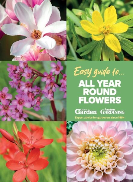 Amateur Gardening Easy Guide – Issue 9 2025 Cover