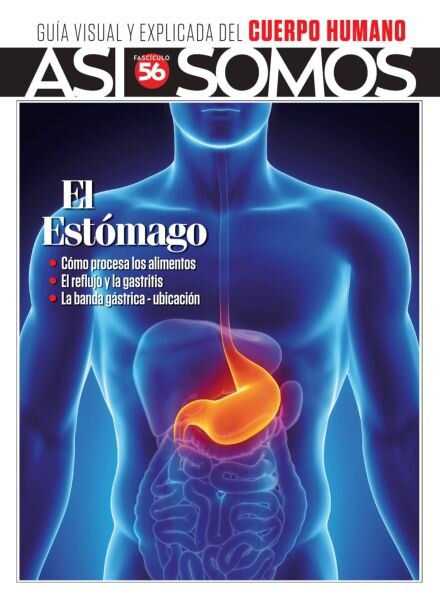 Asi Somos El cuerpo humano – Noviembre 2025 Cover