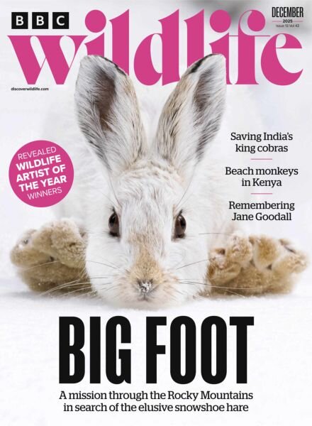 BBC Wildlife – December 2025 Cover