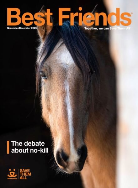 Best Friends – November-December 2025 Cover