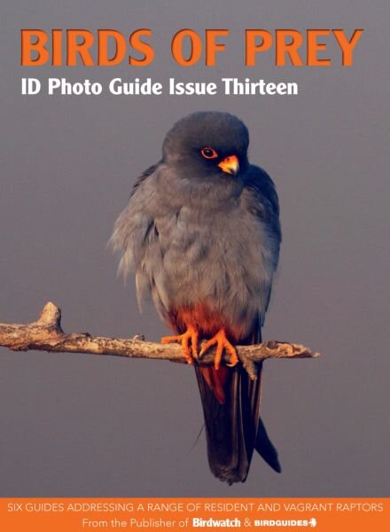 Bird ID Photo Guides – Issue 13 2025 Cover