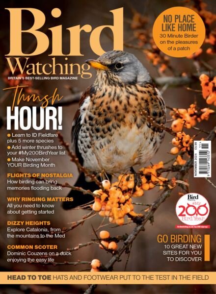Bird Watching UK – November 2025 Cover