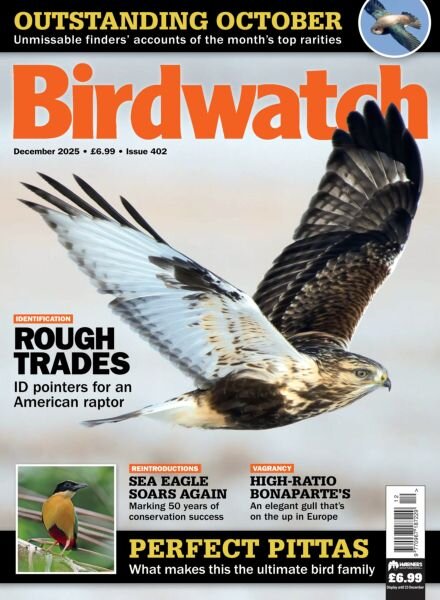 Birdwatch UK – December 2025 Cover