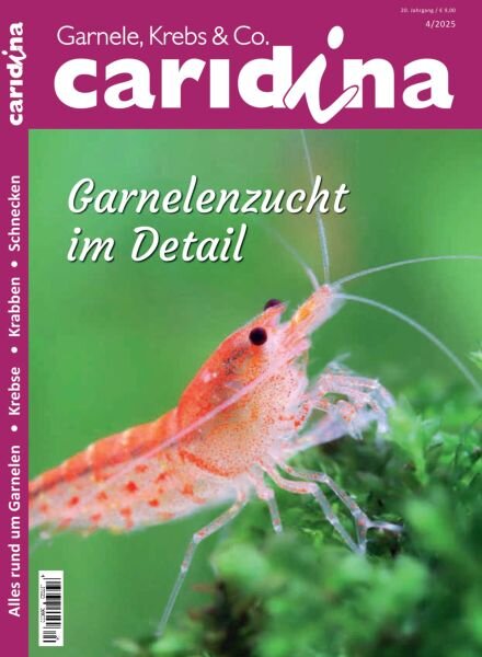 Caridina – November 2025 Cover