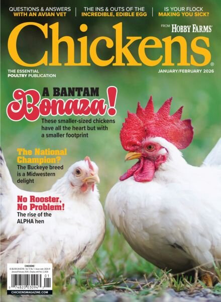 Chickens – December 2025 – January 2026 Cover
