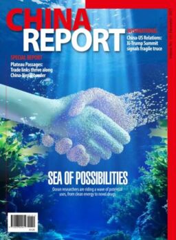 China Report – December 2025