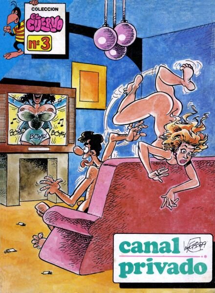 Coleccion El Cuervo – 03 Canal privado Cover