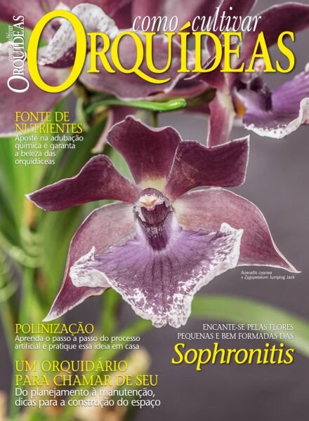Como Cultivar Orquideas – 15 Novembro 2025 Cover