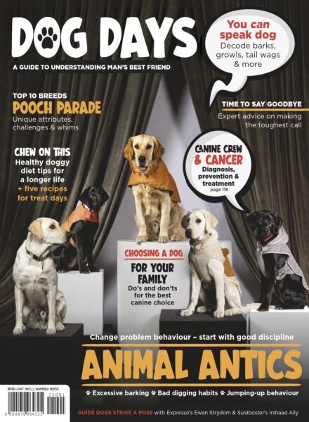 Dog Days – November 2025 Cover
