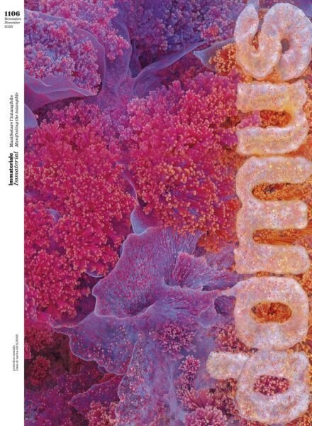 Domus Italia – Novembre 2025 Cover