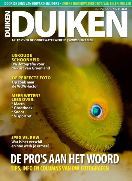 Duiken – November 2025 Cover