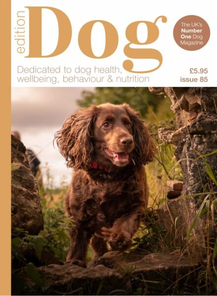 Edition Dog – Issue 85 2025 Cover