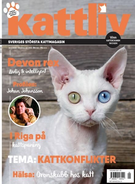 Kattliv – November 2025 Cover