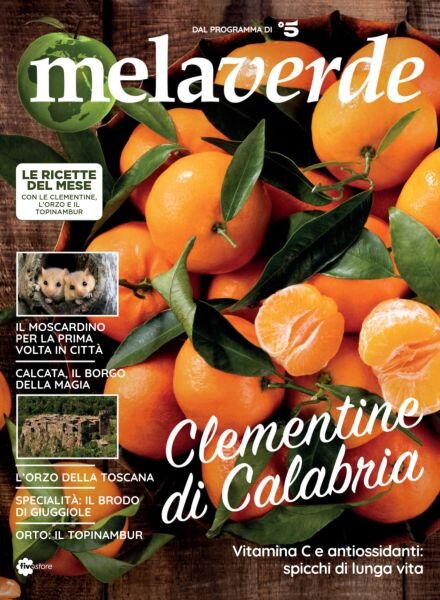 Melaverde – Novembre 2025 Cover