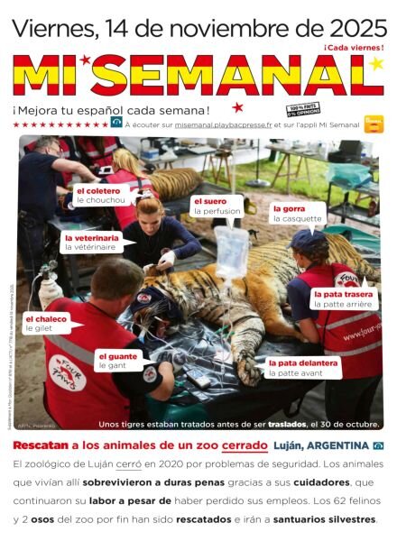Mi Semanal – 14 Noviembre 2025 Cover