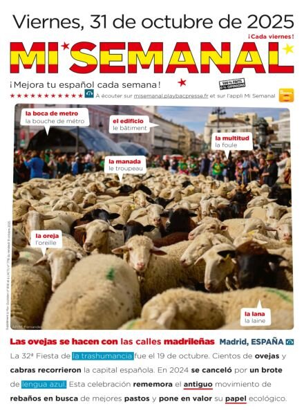 Mi Semanal – 31 Octubre 2025 Cover