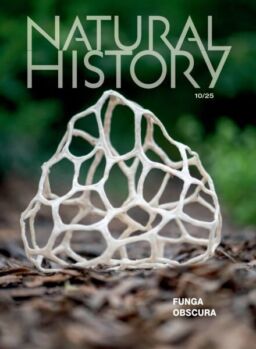 Natural History – October 2025
