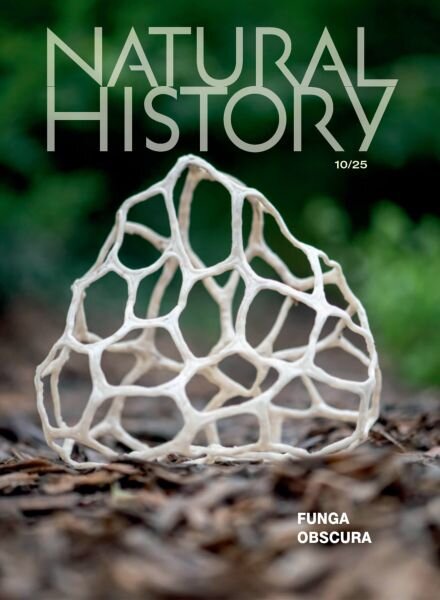 Natural History – October 2025 Cover
