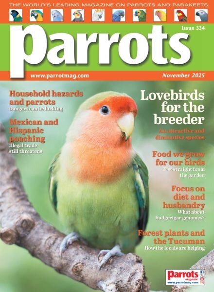 Parrots – November 2025 Cover