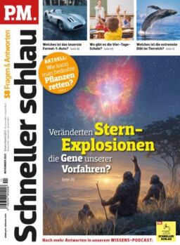 PM Fragen & Antworten – November 2025