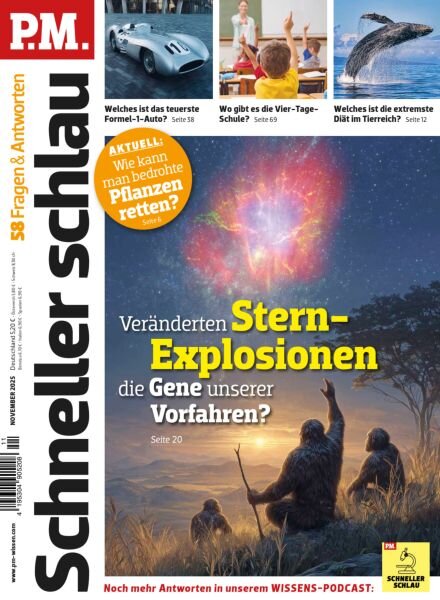 PM Fragen & Antworten – November 2025 Cover