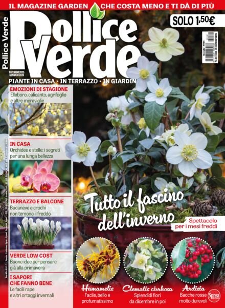 Pollice Verde – Dicembre 2025 – Gennaio 2026 Cover