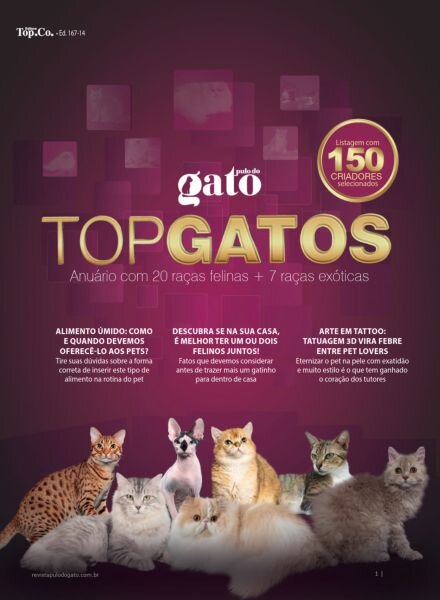 Pulo do Gato – Novembro 2025 Cover