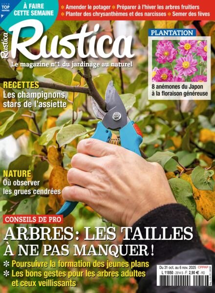 Rustica – 31 Octobre 2025 Cover