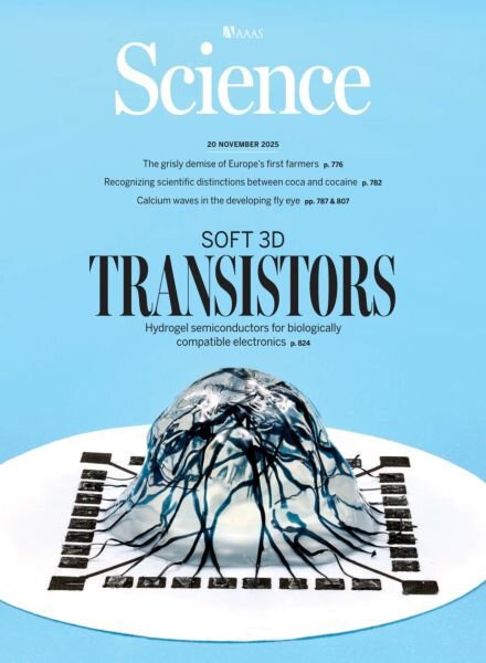 Science – 20 November 2025 Cover
