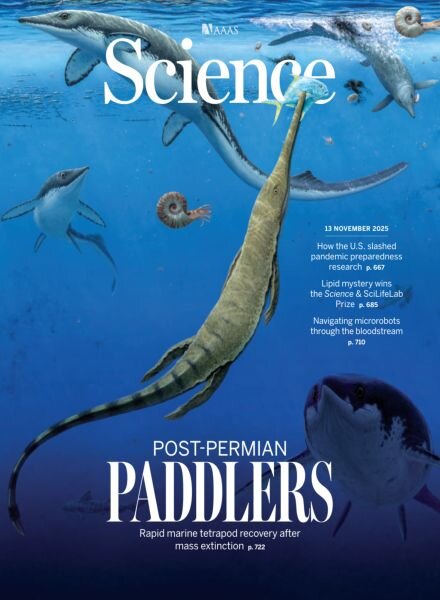 Science – November 13 2025 Cover