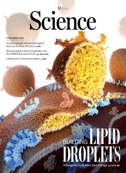 Science – November 6 2025 Cover