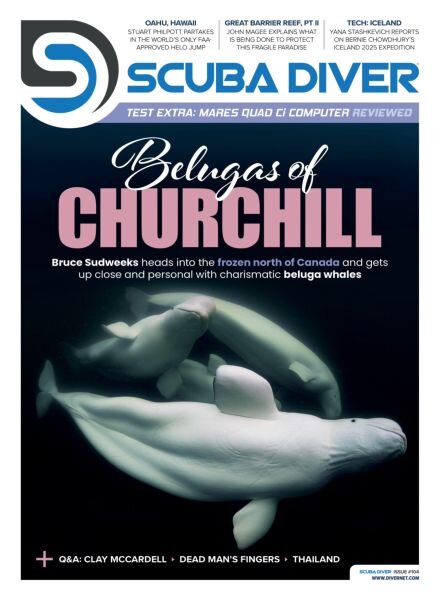 Scuba Diver – 25 November 2025 Cover