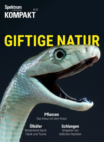 Spektrum Kompakt – 10 November 2025 Cover