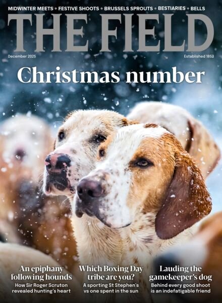 The Field – December 2025 Cover