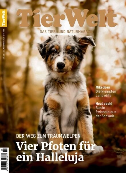 TierWelt – 13 November 2025 Cover