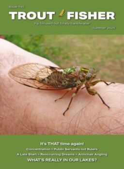 Trout Fisher – Summer 2025