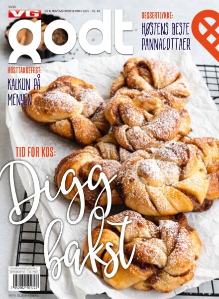 VG Godt – November 2025 Cover