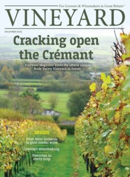 Vineyard – December 2025